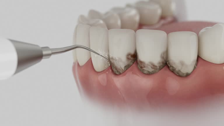 Reliable Dental contractor in Harvey, MI by Dentist Open Now